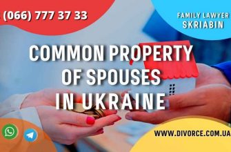 Common property of spouses in Ukraine